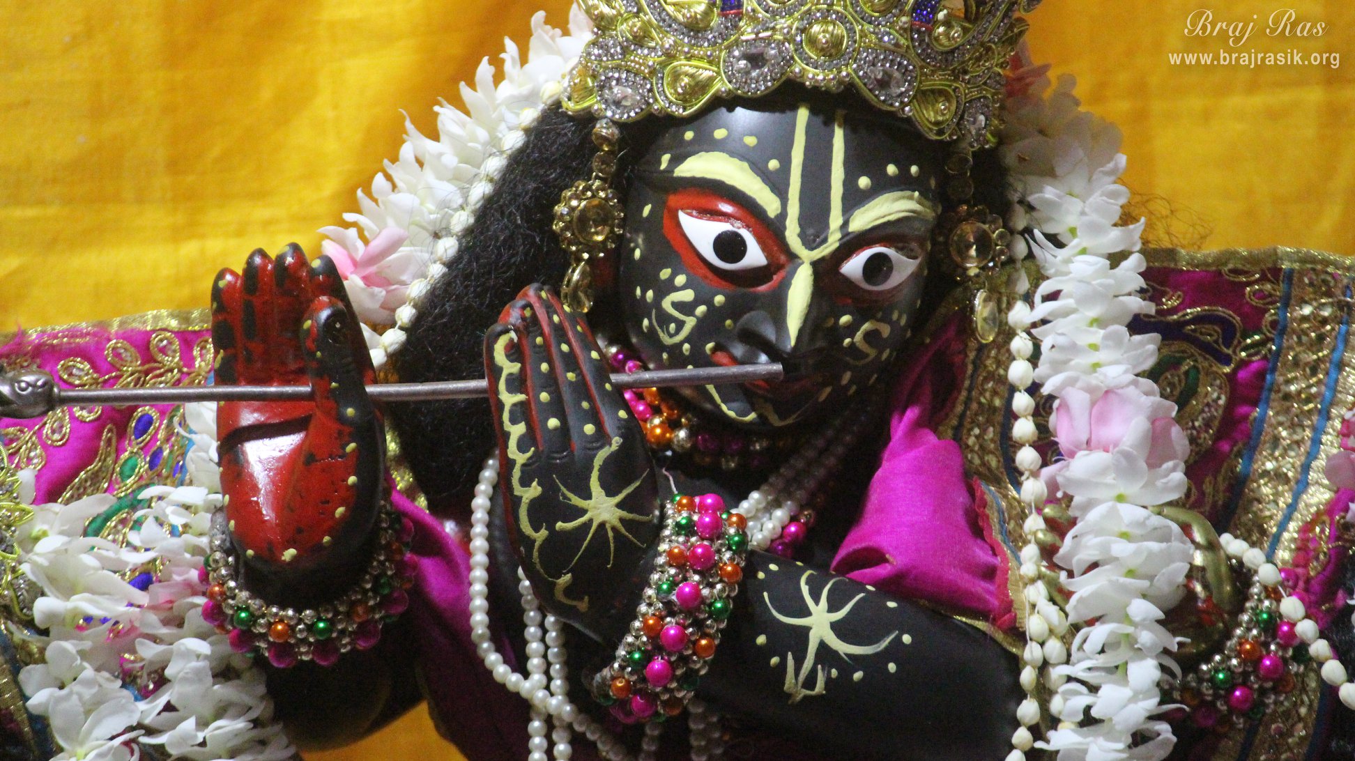 Close darshan of Shri Radha Gokulanand at Shri Radha Gokulananda Temple, Vrindavan