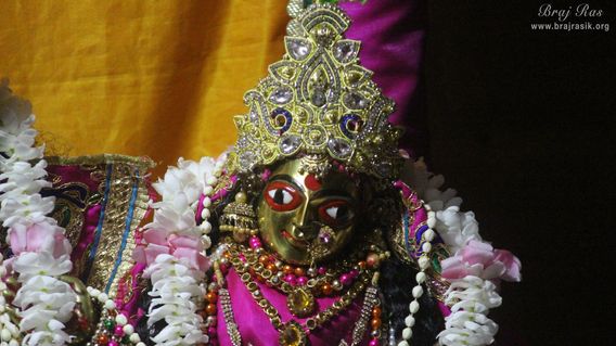 Close darshan of Shri Radha Rani at Shri Radha Gokulananda Temple, Vrindavan