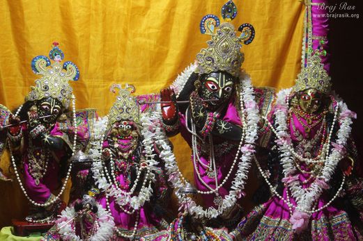 Darshan of Shri Radha Krishna along with Radha Gokulanand at Shri Radha Gokulananda Temple, Vrindavan