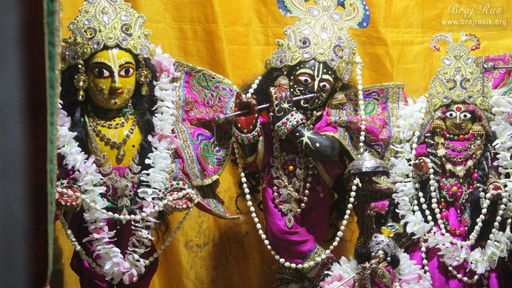 Darshan of Shri Radha Krishna along with Shri Chaitanya Mahaprabhu at Shri Radha Gokulananda Temple, Vrindavan