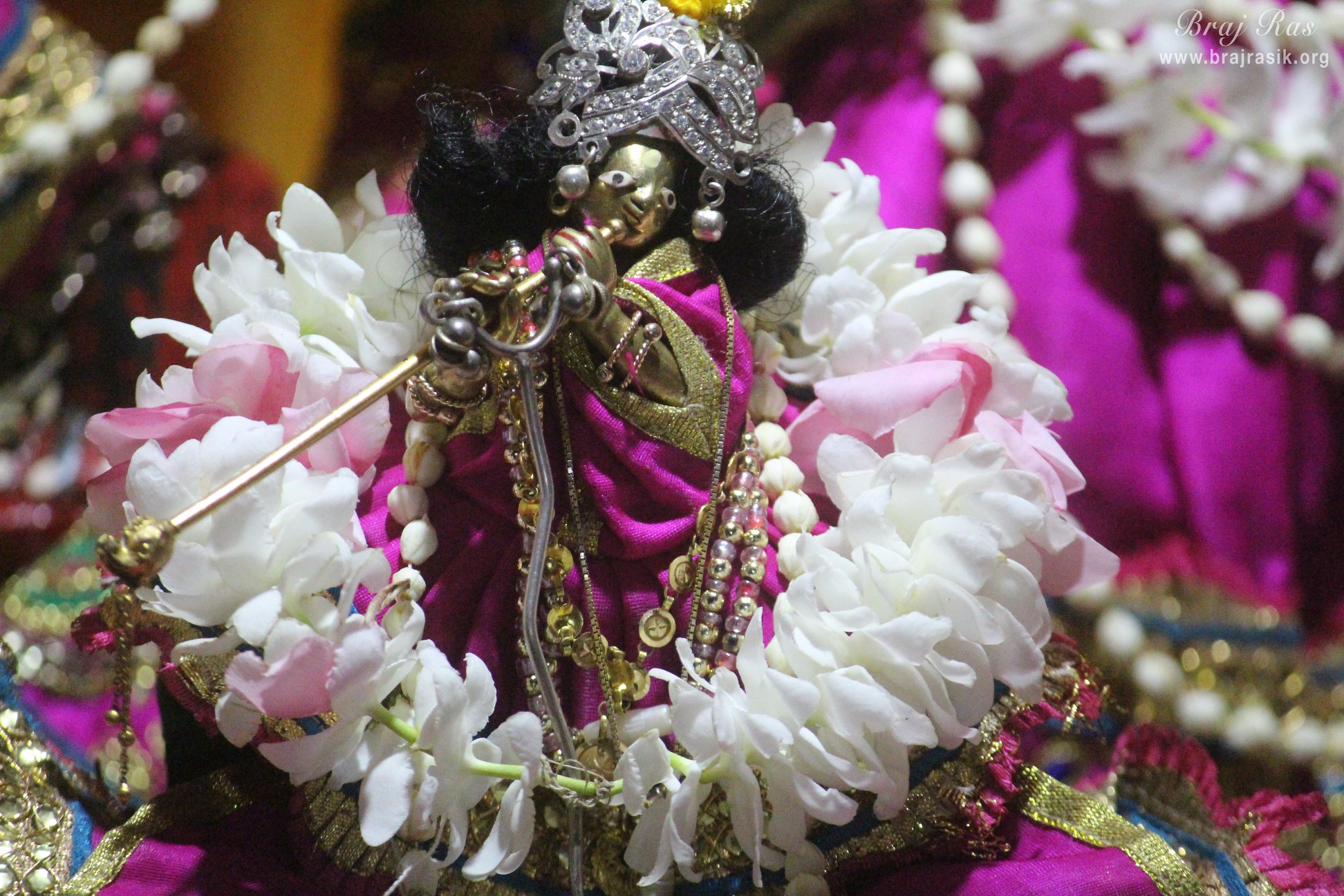Darshan of Little Krishna at Shri Radha Gokulananda Temple, Vrindavan