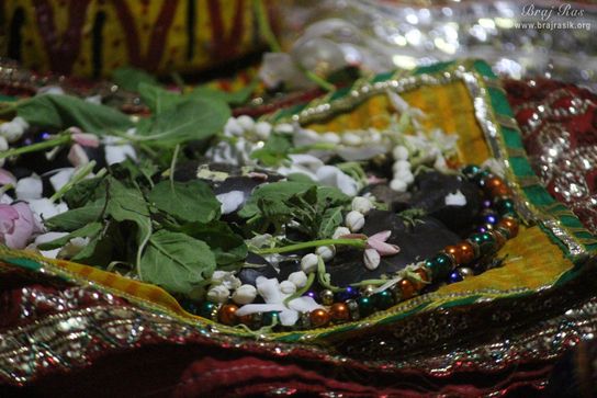 Darshan of Shri Shaligram at Shri Radha Gokulananda Temple, Vrindavan