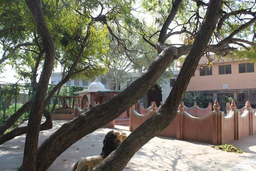 Garden view of Shri Jagannath Dham, Vrindavan