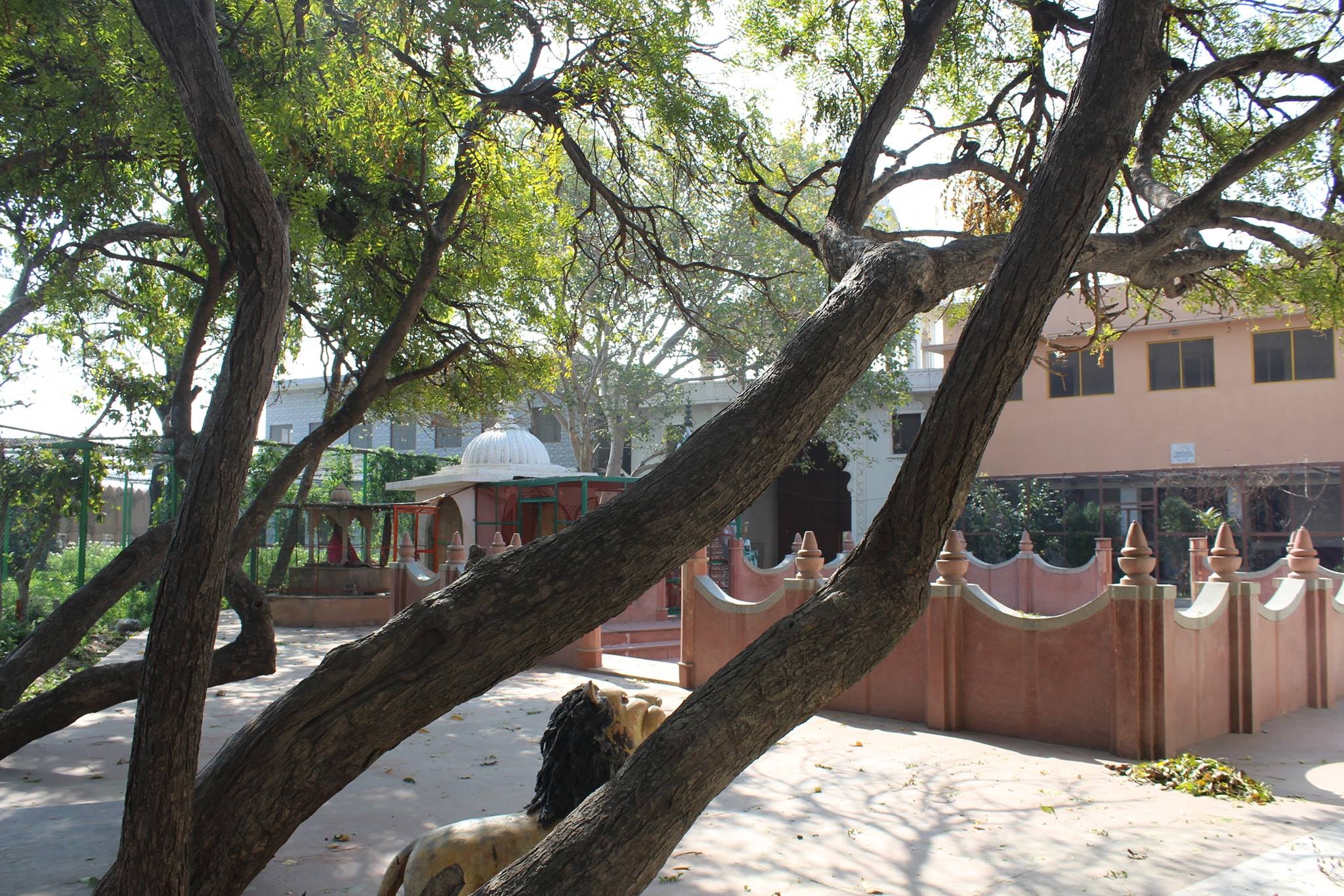 Garden view of Shri Jagannath Dham, Vrindavan