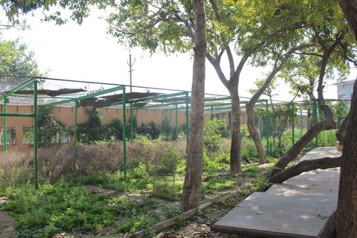 View of Garden at Shri Jagannath Dham, Vrindavan