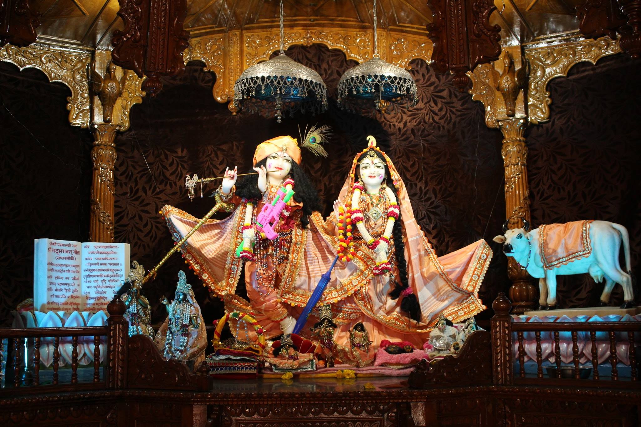 Darshan of Shri Radha Krishna at Shri Krishna Kripa Dham, Vrindavan