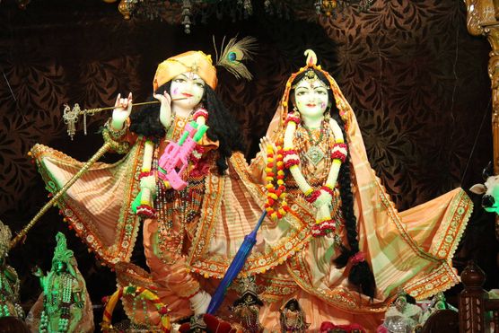 Close Darshan of Shri Radha Krishna at Shri Krishna Kripa Dham, Vrindavan