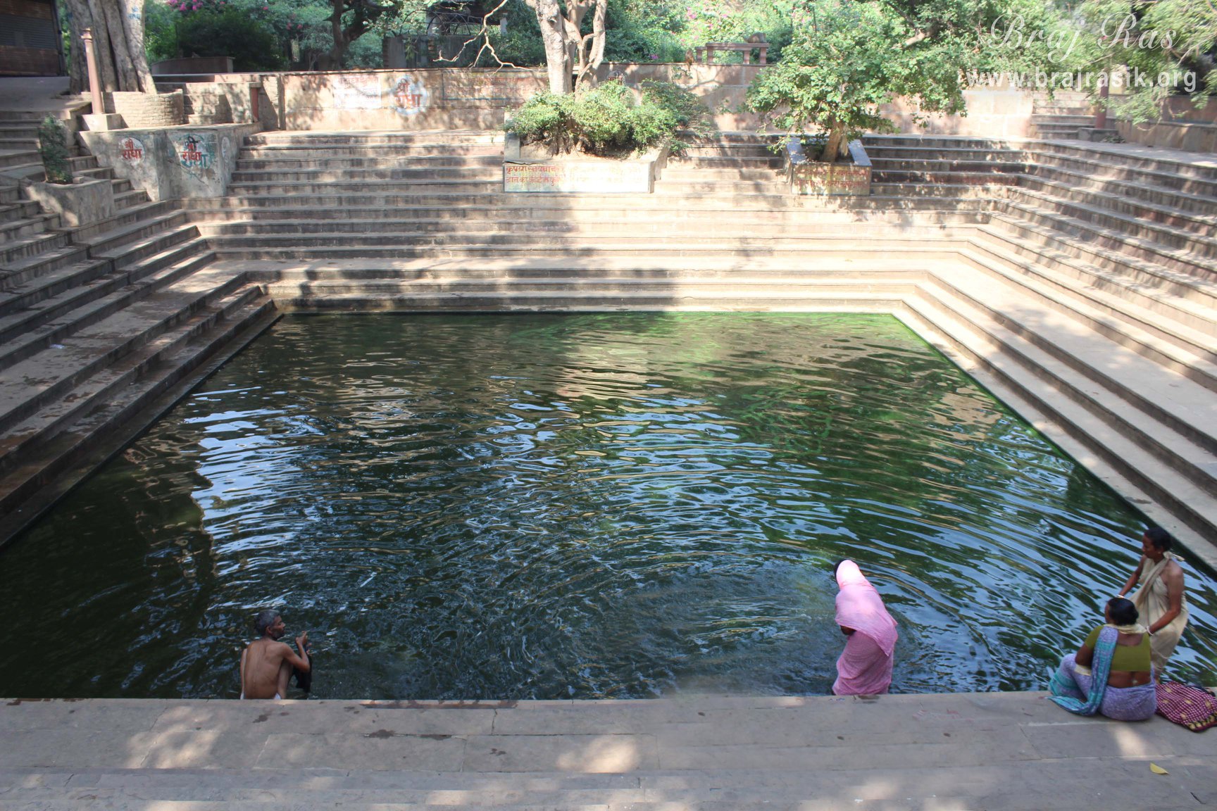 Devotees are taking a bath in Radha Sarovar, Barsana