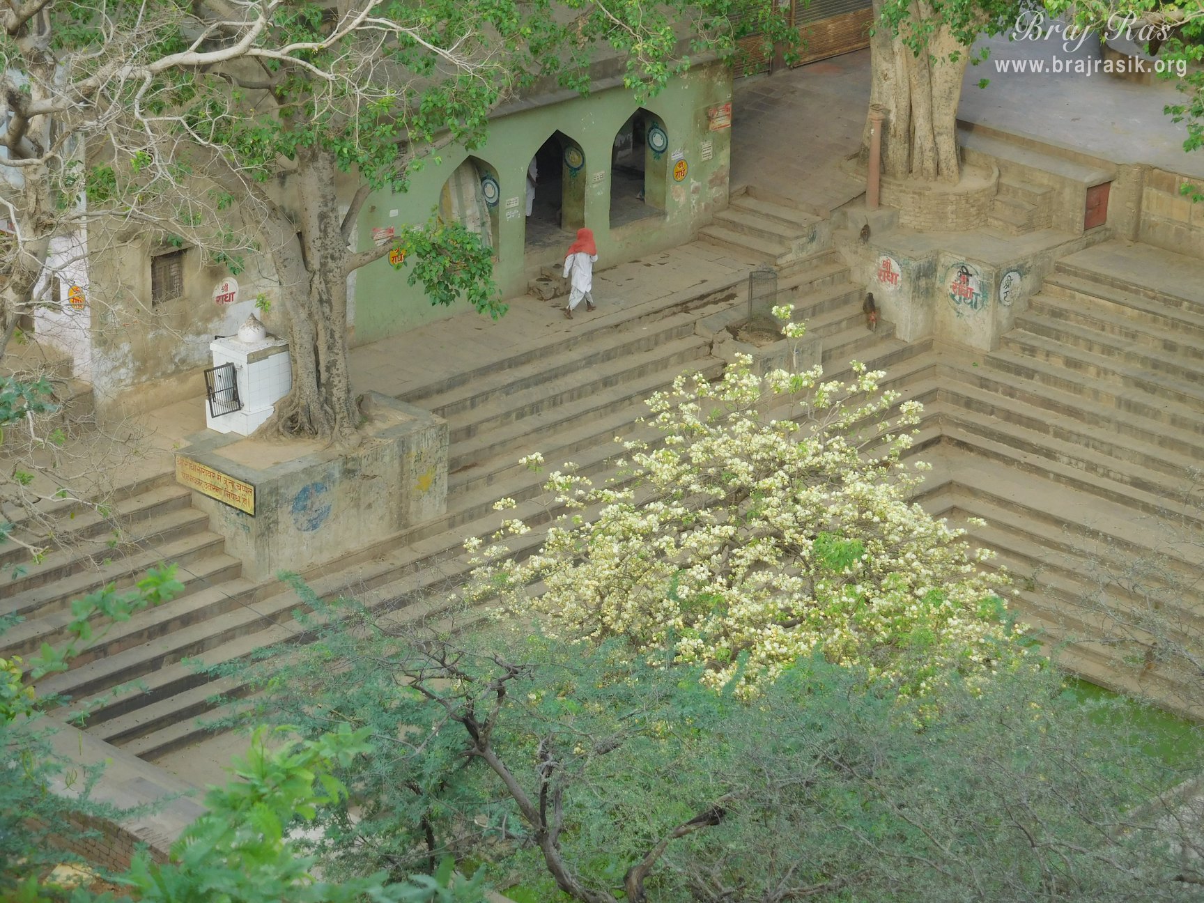 Sky view of Radha Sarovar, Barsana