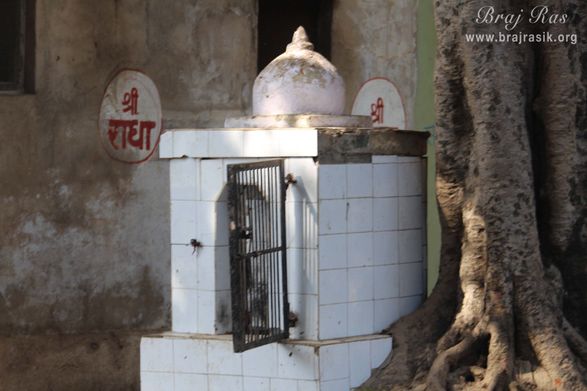 A small temple and a banyan tree near Radha Sarovar, Barsana