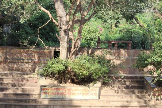 View of stairs and greenery of Radha Sarovar, Barsana