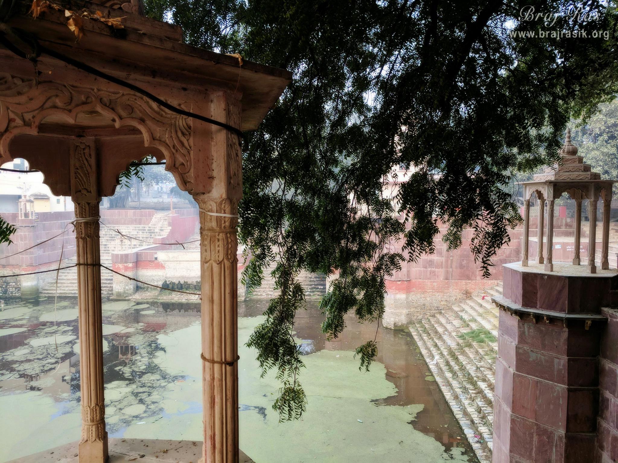 View of Peeli Pokhar from top at Peeli Pokhar or Priya Kund, Barsana