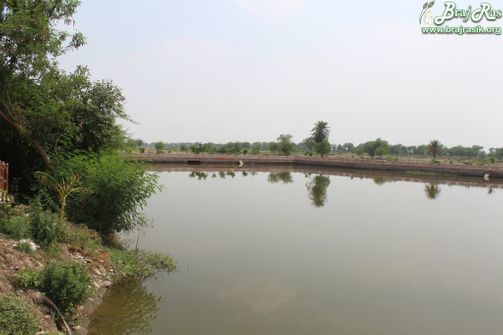 Shri Maan Sarovar darshan  from corner at Maan Sarovar or Mana Sarovar, Vrindavan