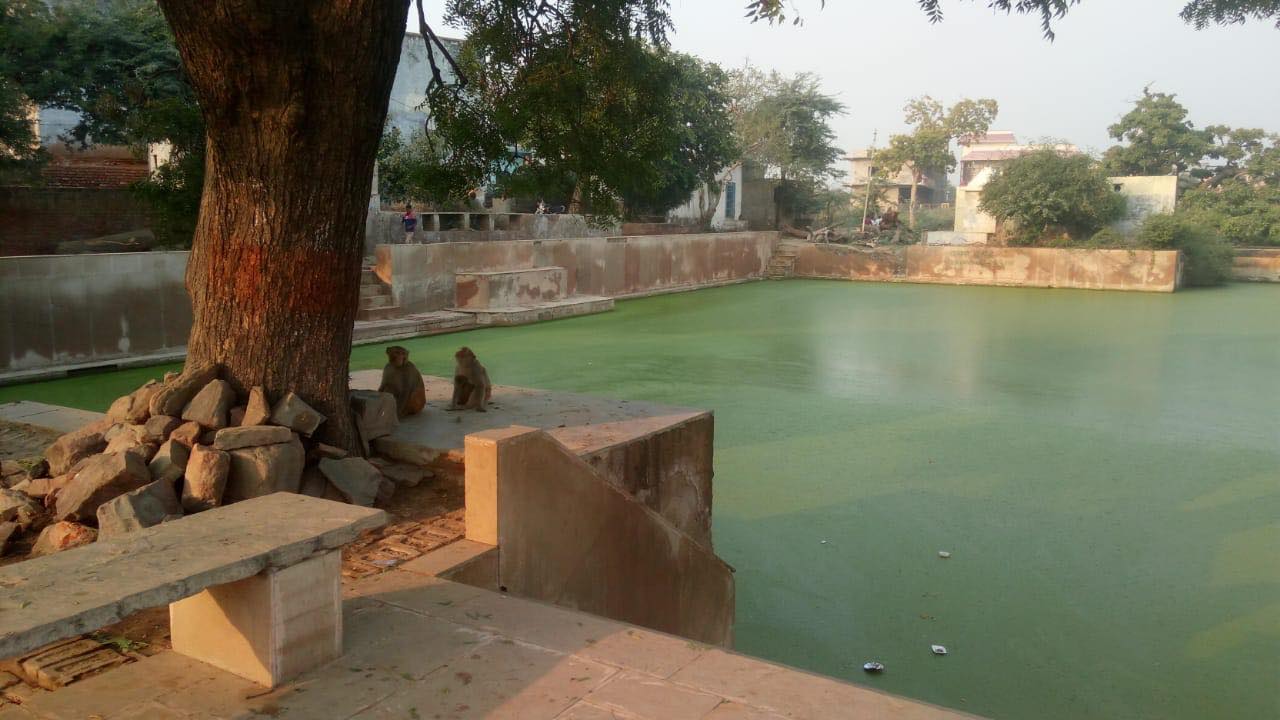 View of Apsara Kund at Giriraj Govardhan, Braj