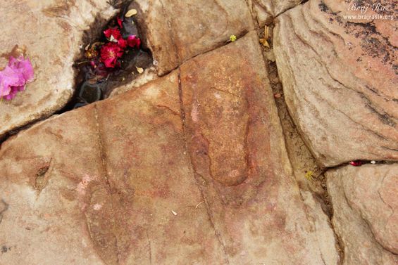 Darshan of Shri Krishna's foot print on Giriraj Shila at Giriraj Govardhan, Braj