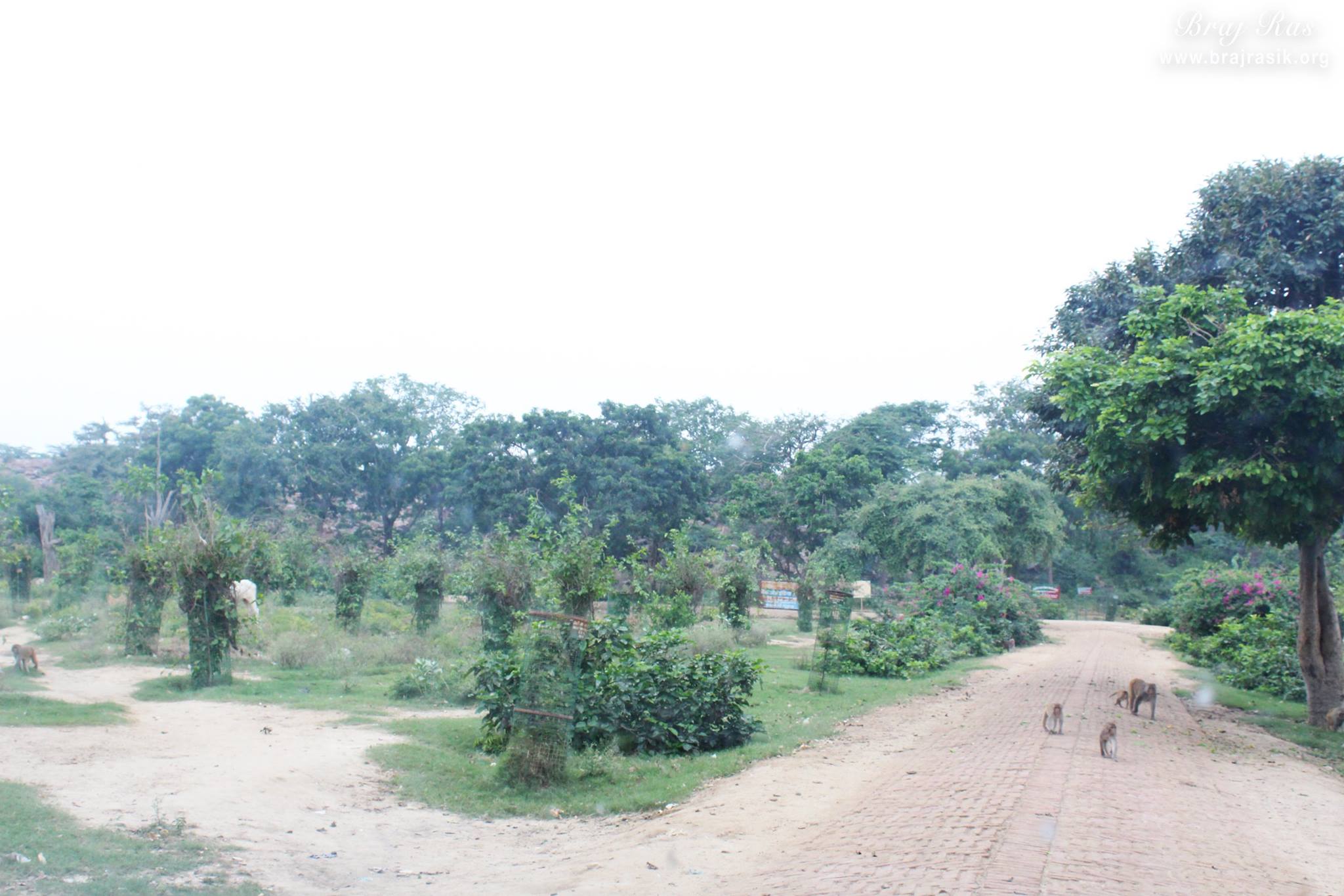 Parikrama marg view at Giriraj Govardhan, Braj