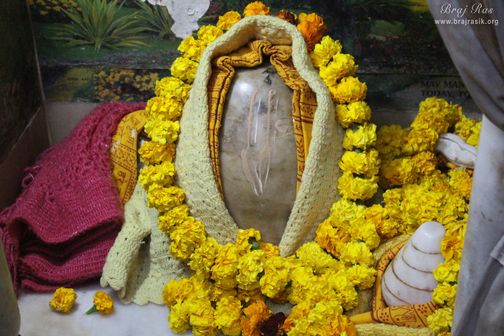 Darshan of Shiv Linga at Jhadu Mandal, Vrindavan