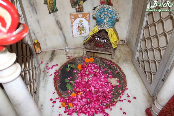 Darshan of grindstone on which Shri Krishna placed his lotus feet at Jhadu Mandal, Vrindavan