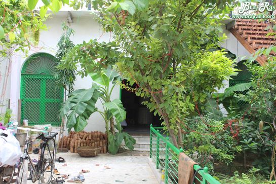 View of green plants at Jhadu Mandal, Vrindavan