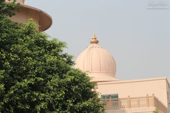 Close view of dome of the temple at Rangeeli Mahal - Barsana