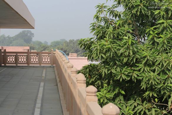 Trees outside temple at Rangeeli Mahal - Barsana