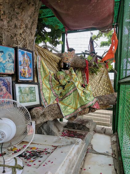 Side darshan of Shri Krishna at Chir Ghat or Cheer Ghat, Vrindavan