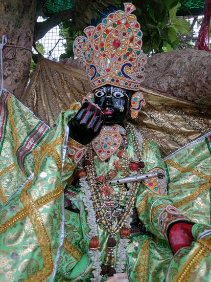Close darshan of Shri Krishna at Chir Ghat or Cheer Ghat, Vrindavan