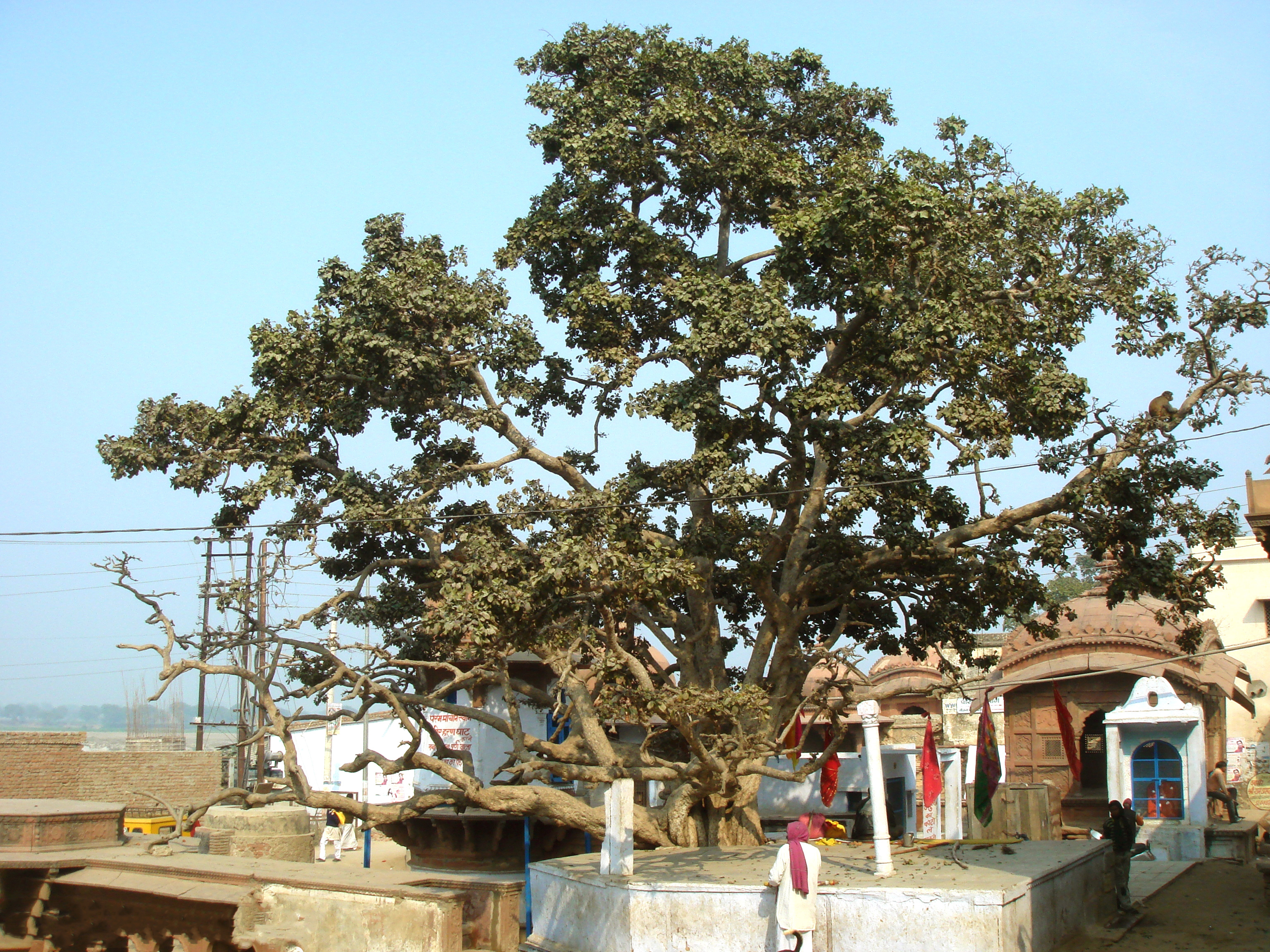 View of Chir ghat from parikrama marg at Chir Ghat or Cheer Ghat, Vrindavan