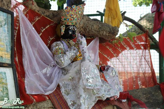 Side darshan of Shri Krishna in white attire at Chir Ghat or Cheer Ghat, Vrindavan