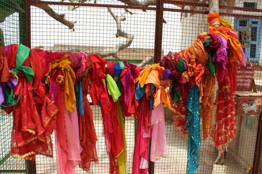 Chir (cloths) tied in Ter Kadamb tree by devotees at Chir Ghat or Cheer Ghat, Vrindavan