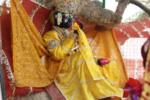 Beautiful side darshan of Shri Krishna in yellow attire at Chir Ghat or Cheer Ghat, Vrindavan