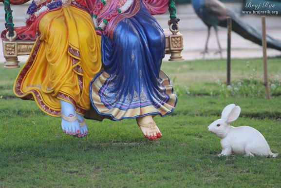 Closeup of Shri Radha Krishn swinging at Rangeeli Mahal barsana where as a rabbit is looking at the feet.
