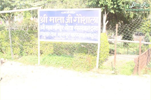 Name and address board of Mataji Goshala, Barsana