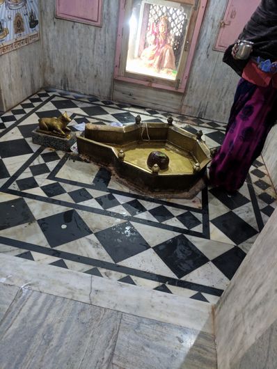 Darshan of Shri Bankhandi Mahadev, Vrindavan