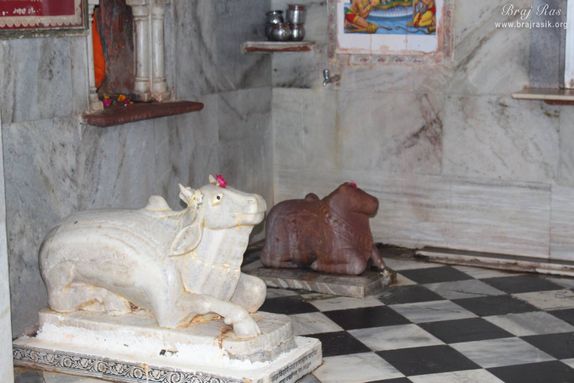 Darshan of Lord Nandi at Bankhandi Mahadev, Vrindavan