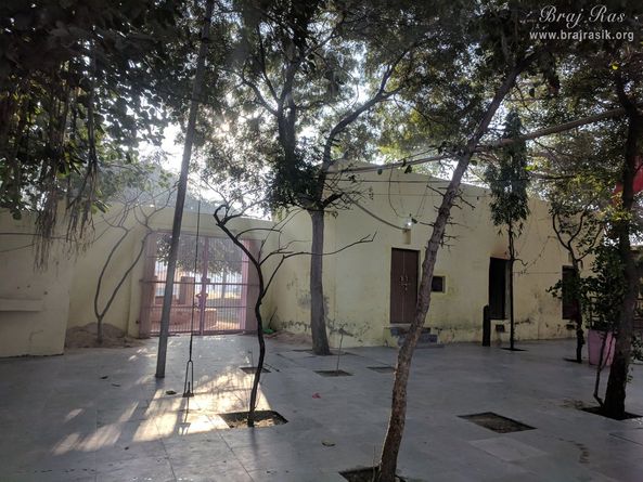 Small trees in courtyard at Bel Vana, Braj