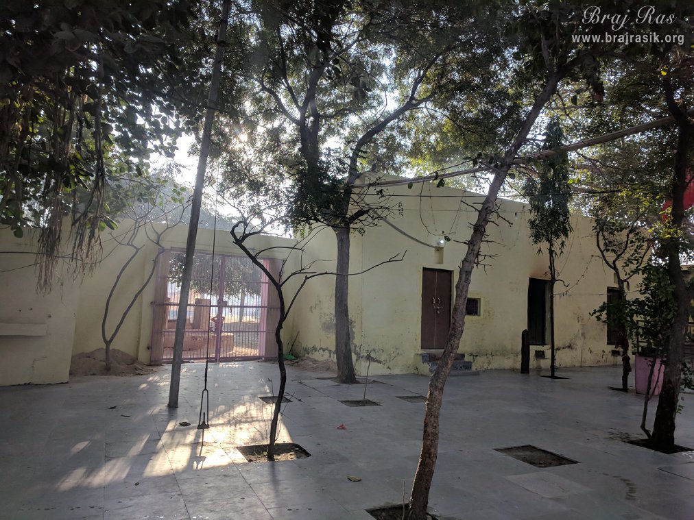 बेल वन, ब्रज में छोटा सा पेड़