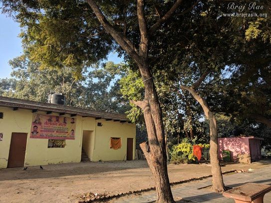 Beautiful morning view at Bel Vana, Braj