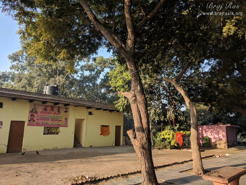 बेल वन, ब्रज में सुबह का सुंदर दृश्य