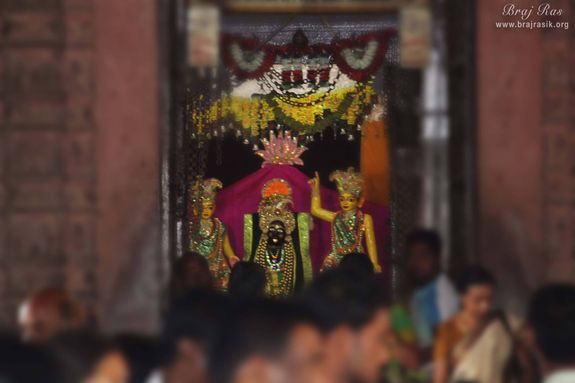 Current diety darshan of Shri Govind Dev Ji, Vrindavan