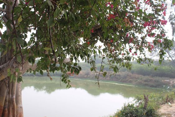 View of Aaseshwar Sarovar at Aaseshwar Mahadev, Nandgaon