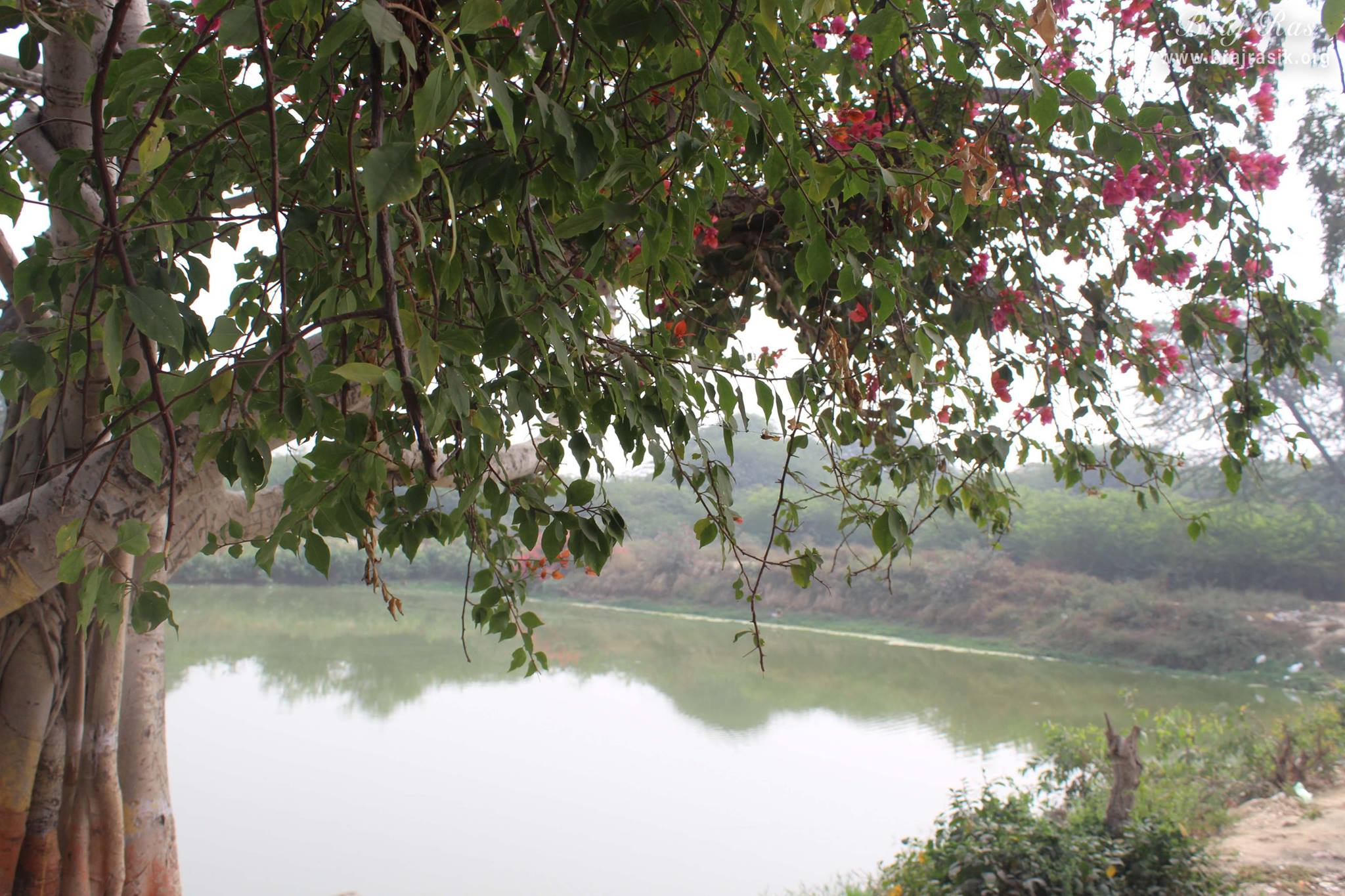 View of Aaseshwar Sarovar at Aaseshwar Mahadev, Nandgaon