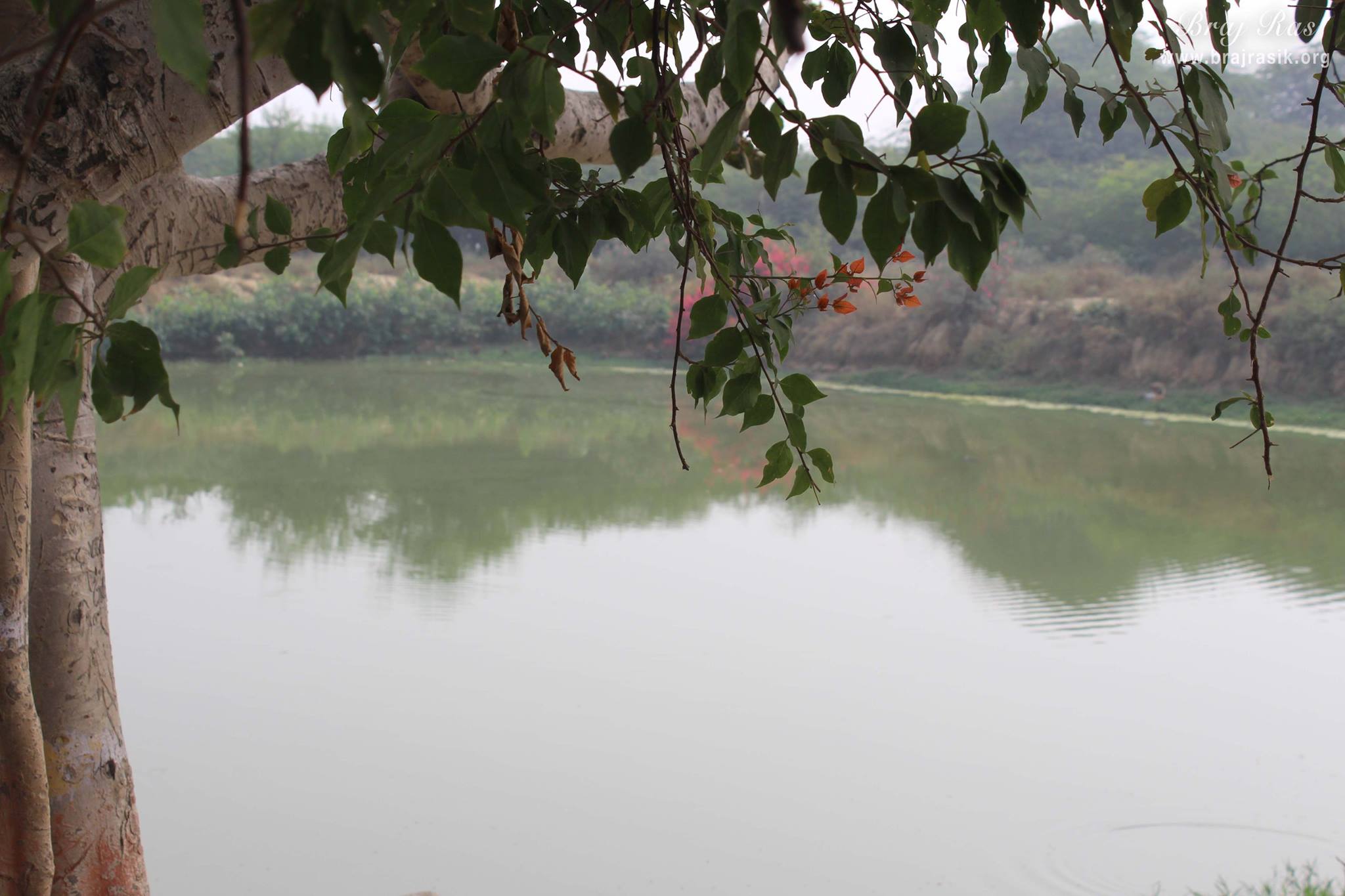 View of Aaseshwar Sarovar from a tree at Aaseshwar Mahadev, Nandgaon