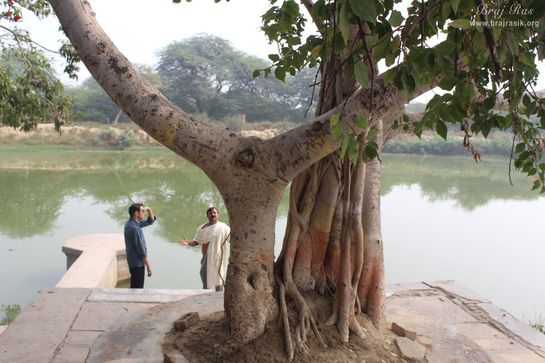 View of Aaseshwar Sarovar from behind a tree at Aaseshwar Mahadev, Nandgaon