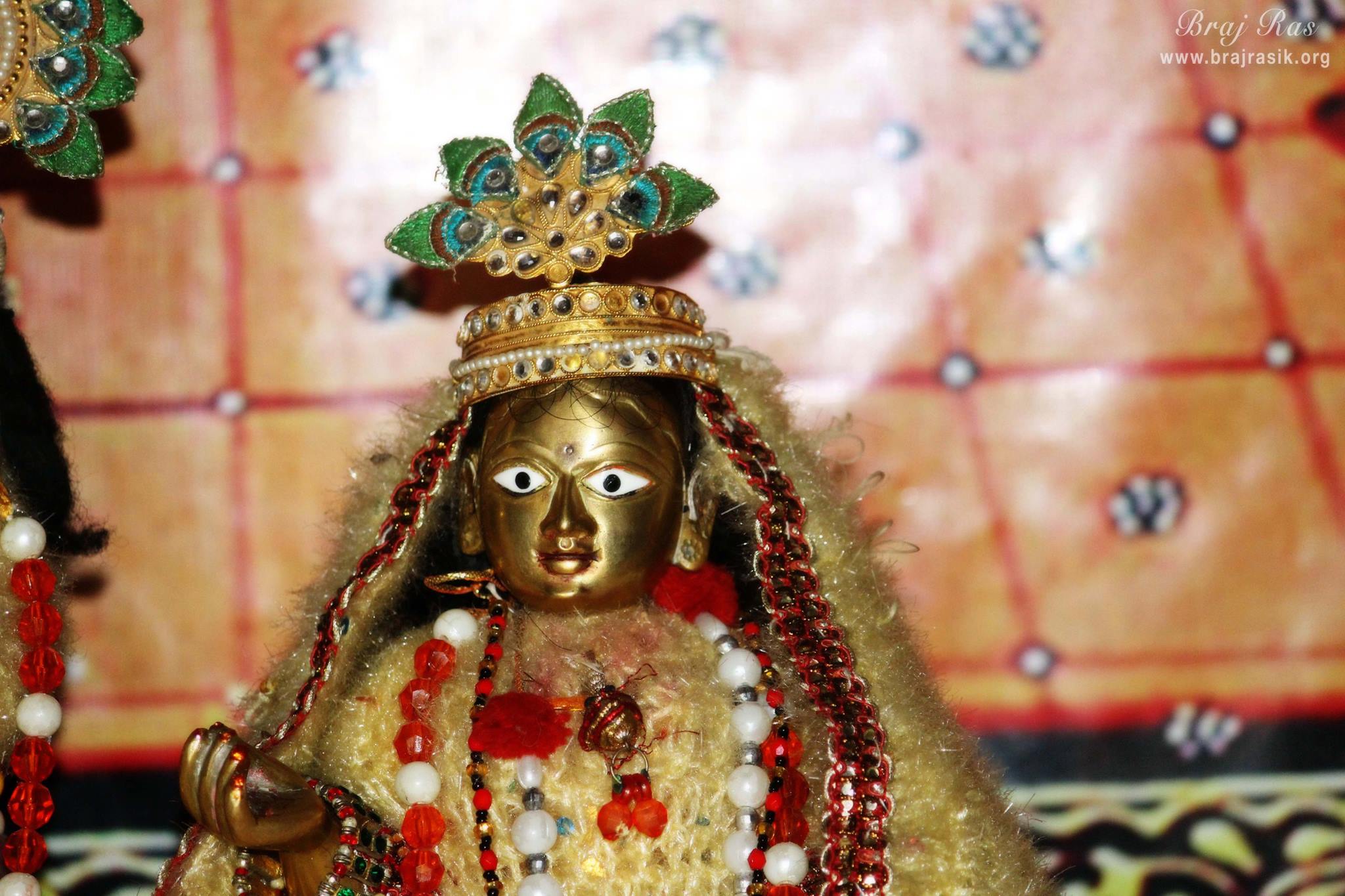 Close darshan of Shri Radharani at Deha Kund, Braj