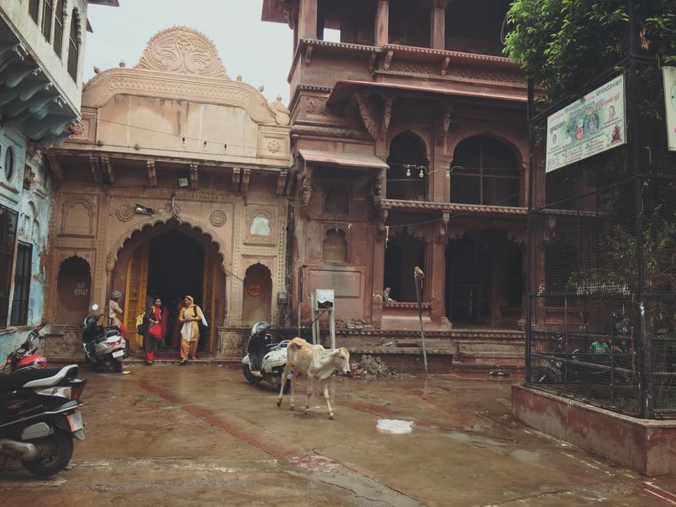 View of new Radhavallabh Temple on left and Old Radha Vallabh Temple in right, Vrindavan
