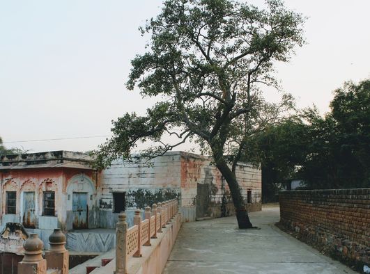 Road near Prem Sarovar - Barsana