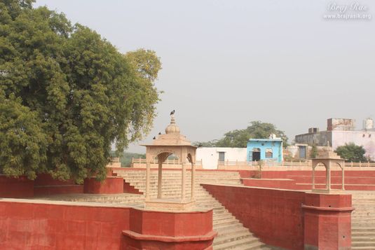 View of stairs and a tree at Prem Sarovar - Barsana