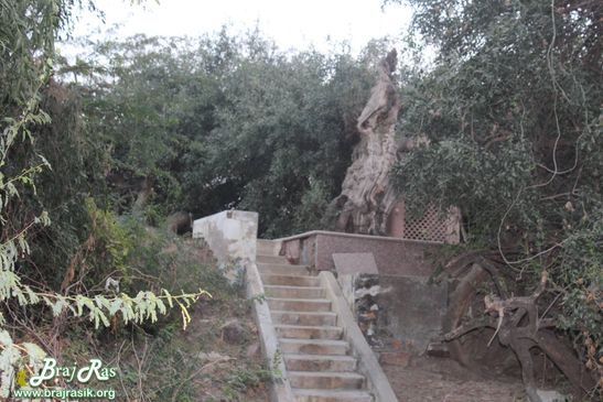 View of surroundings of Prem Sarovar - Barsana