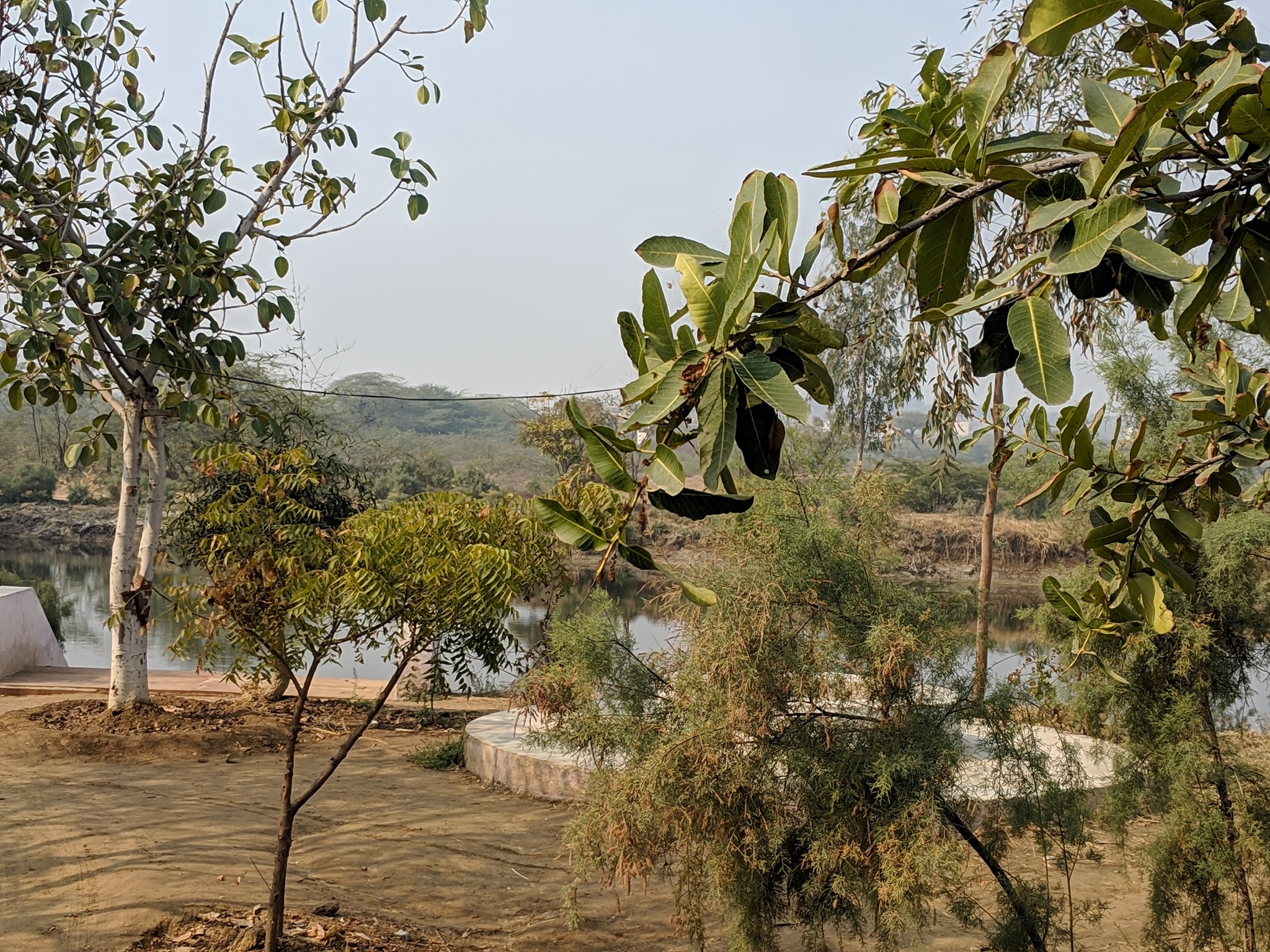 View of forest around Uddhav Kyari, Nandgaon
